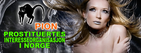 PION til Sexhibition 2008!