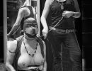 dsc098966hibit23
