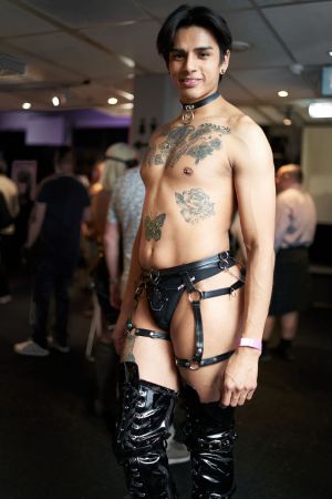 dsc099306hibit23