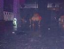 sexhibition 1997 20091225