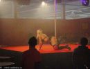 turkkusex 20091225
