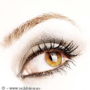 Sexhibition 2008